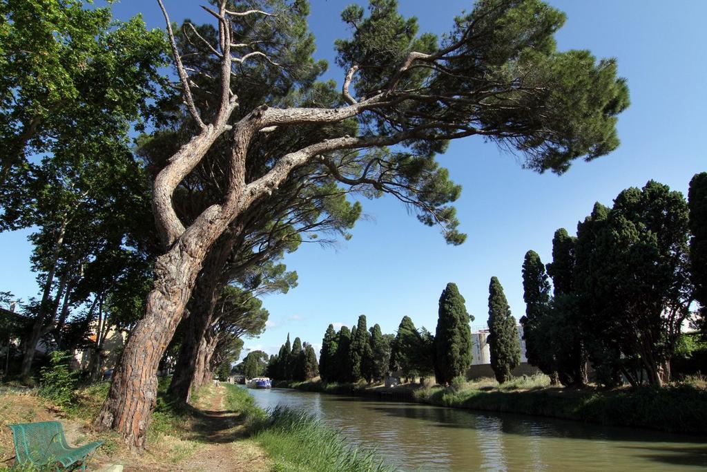 Les Volets Bleus Bed and Breakfast Sallèles-dʼAude Εξωτερικό φωτογραφία